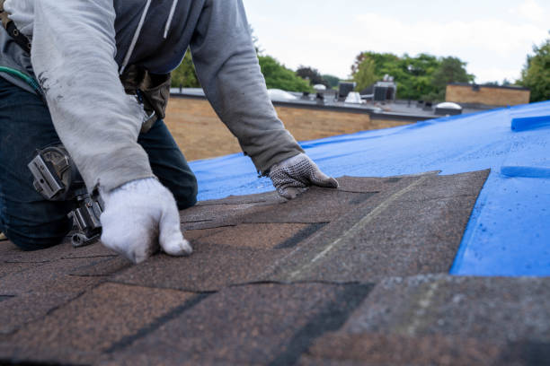 Professional Roofing Contractor in Morocco, IN
